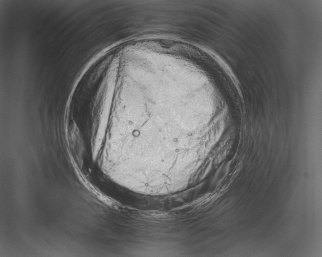 X0000082950957200702222310