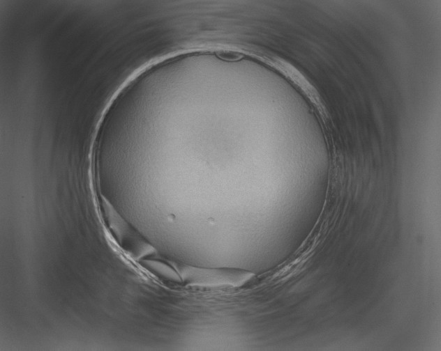 X0000082950958200702222310