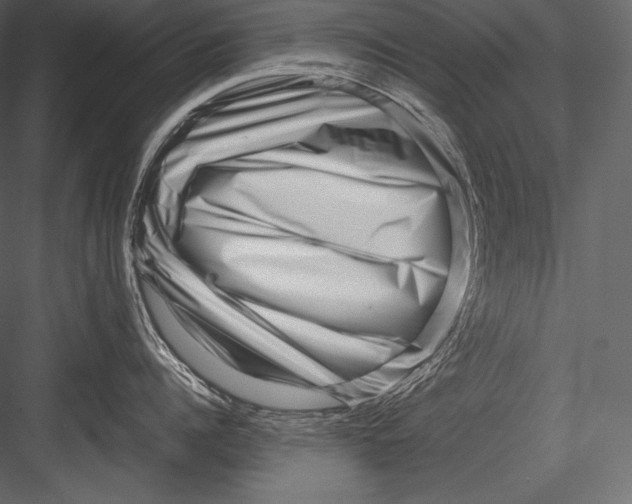 X0000082950960200702222310