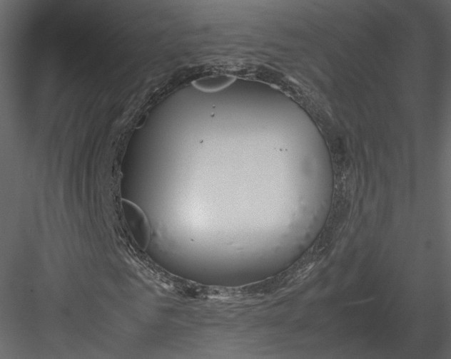 X0000082950961200702222309