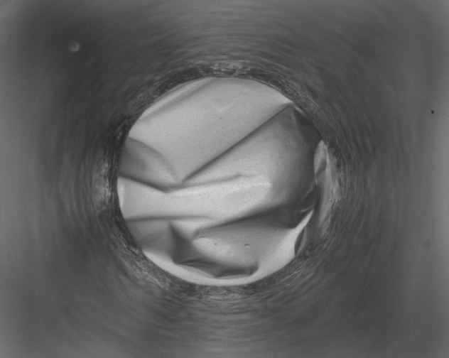 X0000082950962200702222309