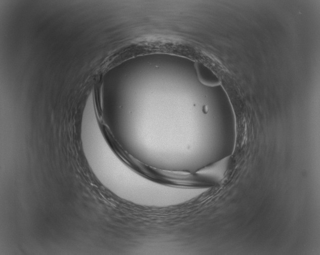 X0000082950965200702222309