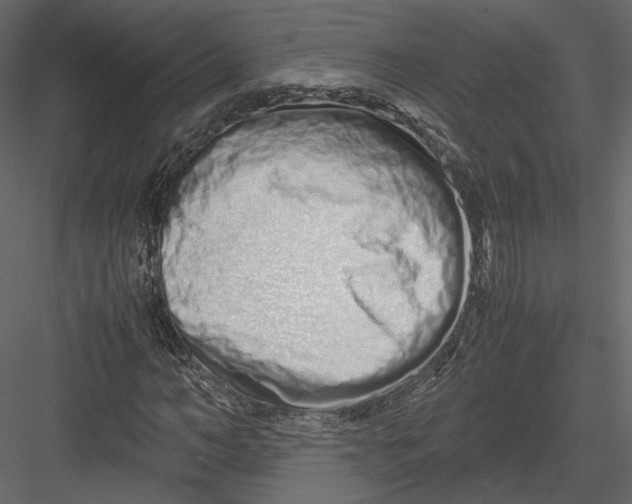 X0000082950966200702222309