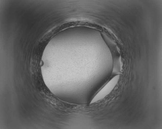 X0000082950967200702222309