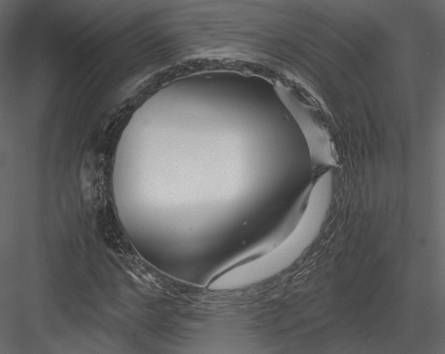 X0000082950968200702222309