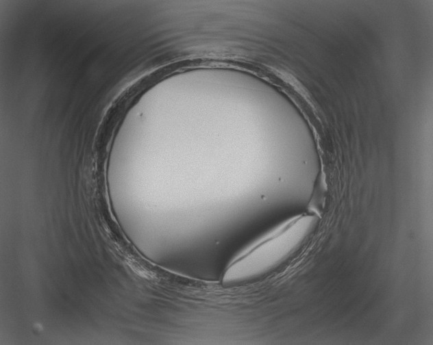 X0000082950971200702222309