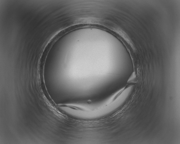 X0000082950972200702222309