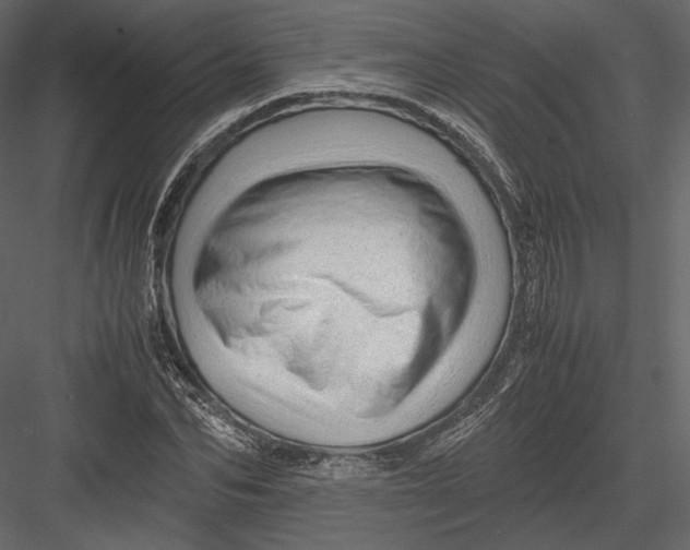 X0000082950974200702222309