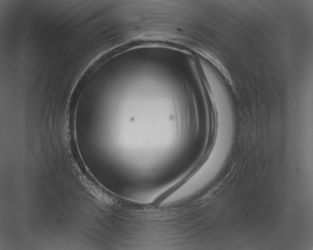 X0000082950976200702222309