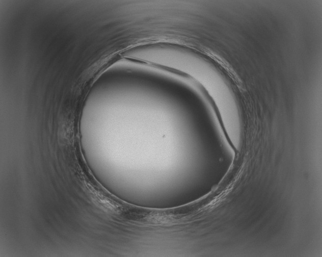 X0000082950977200702222309