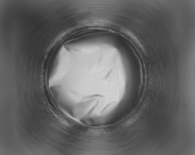 X0000082950978200702222309