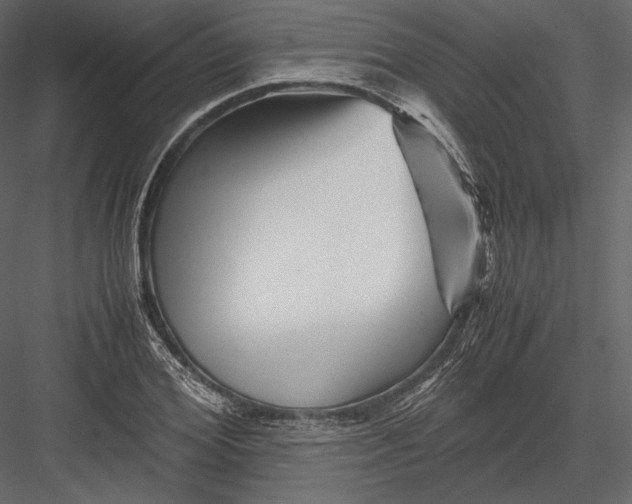 X0000082950980200702222309