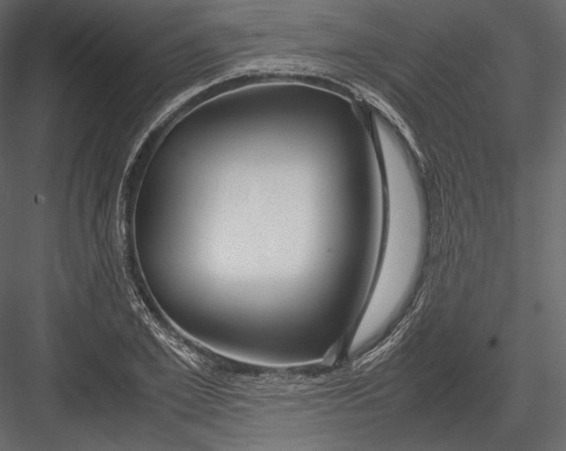 X0000082950981200702222309