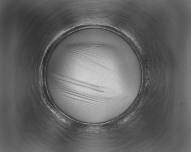 X0000082950982200702222308