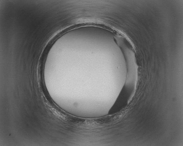 X0000082950983200702222308