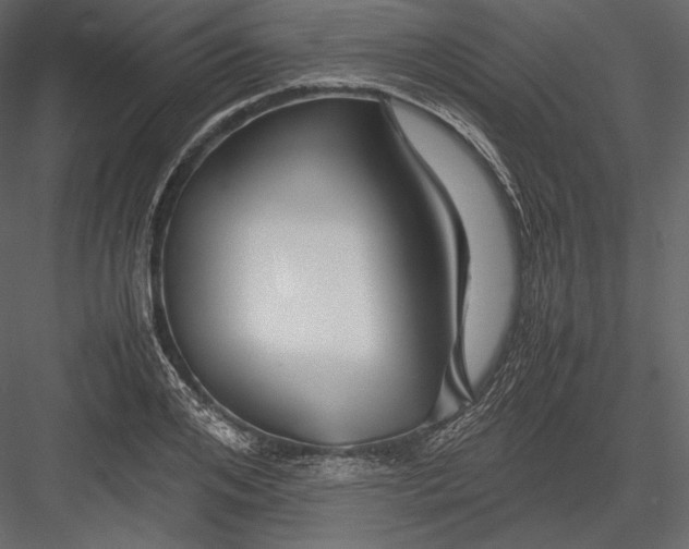 X0000082950984200702222308