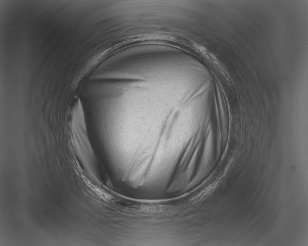 X0000082950985200702222308