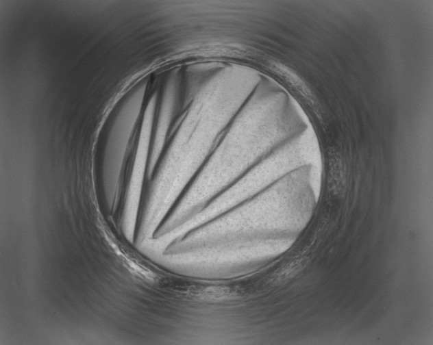 X0000082950986200702222308