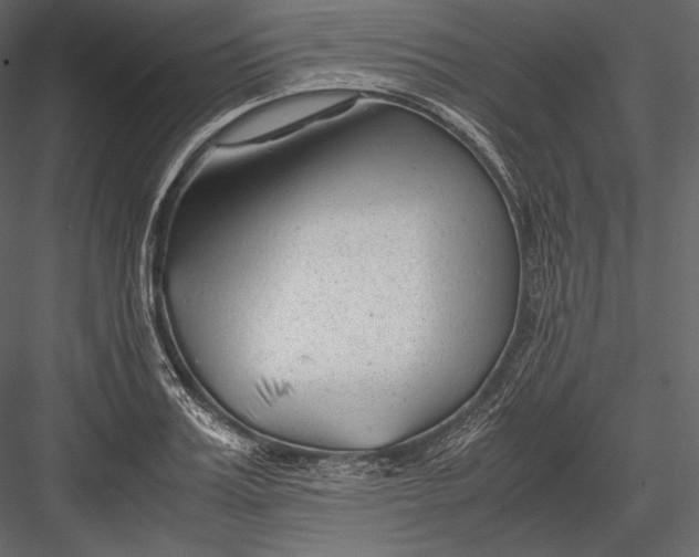 X0000082950987200702222308