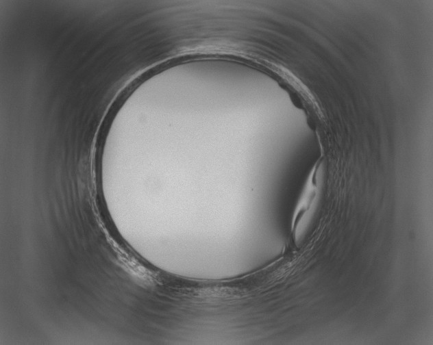 X0000082950988200702222308