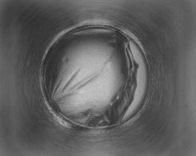 X0000082950989200702222308