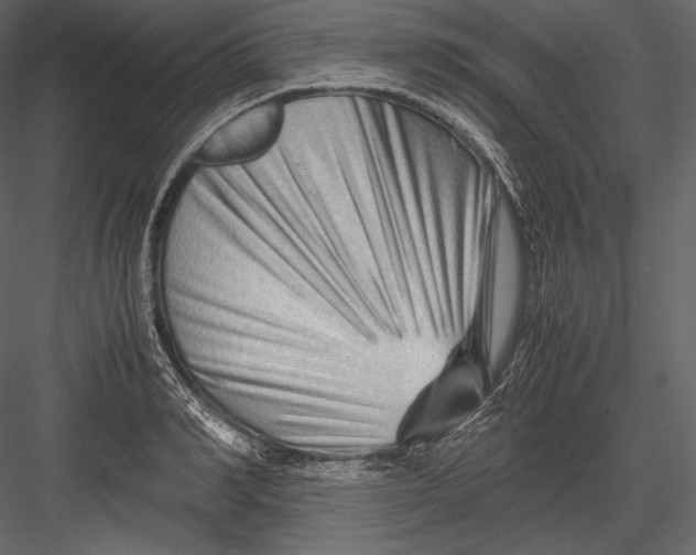 X0000082950990200702222308