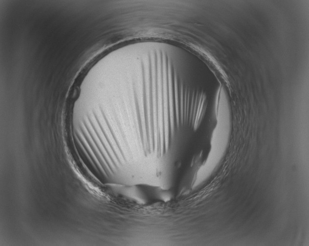 X0000082950991200702222308