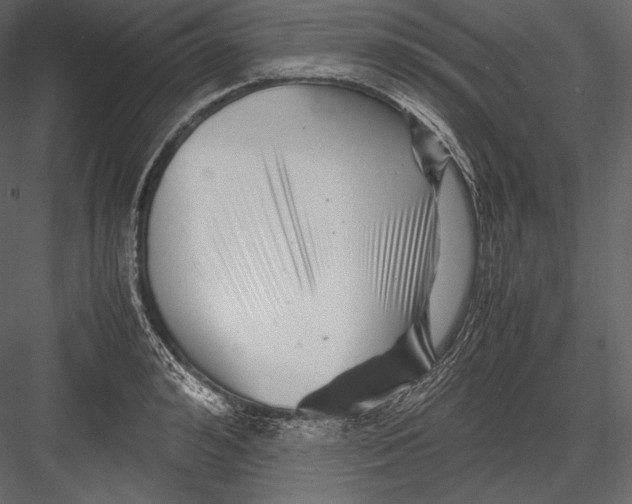 X0000082950992200702222308