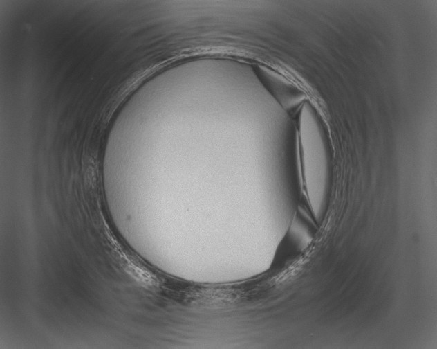 X0000082950993200702222308