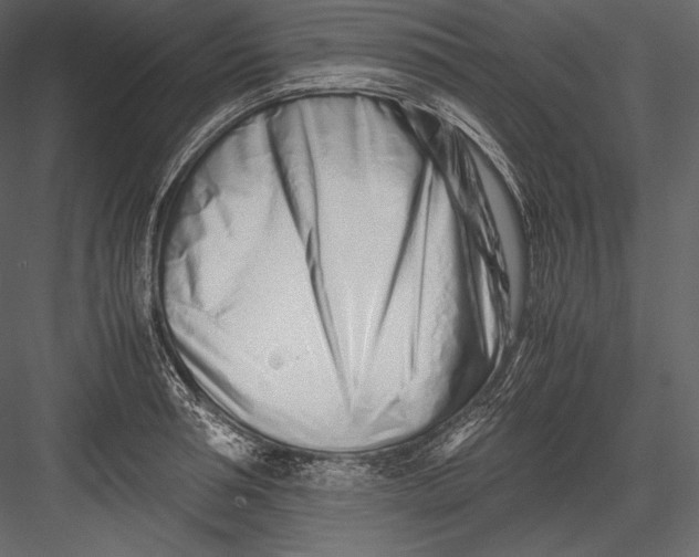 X0000082950994200702222308