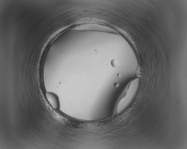 X0000082950995200702222308