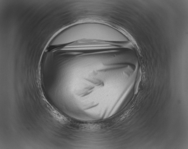 X0000082950996200702222308