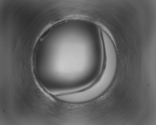 X0000082950997200702222308