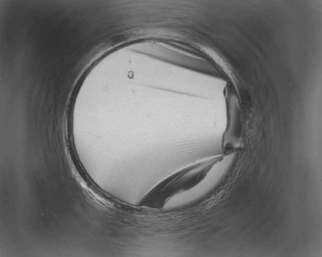 X0000082950999200702222308