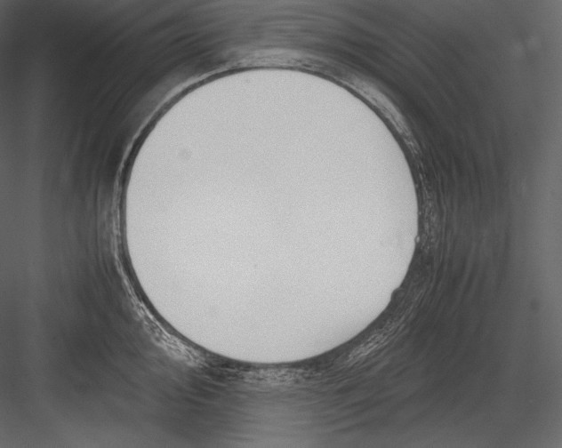 X0000082951000200702222308