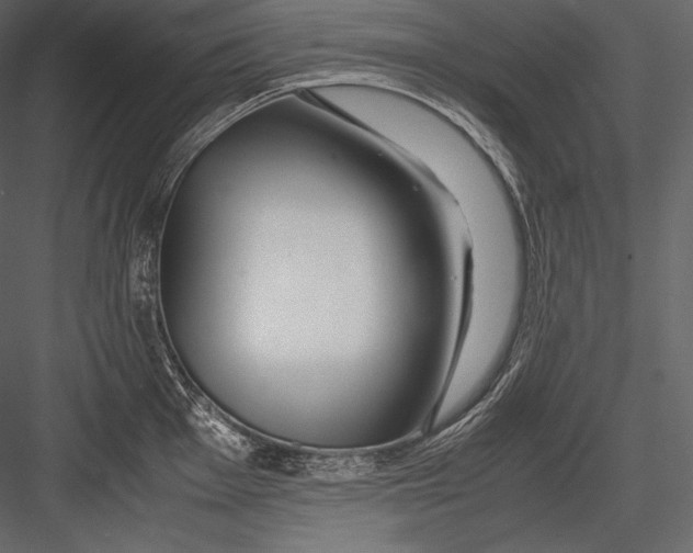 X0000082951001200702222308