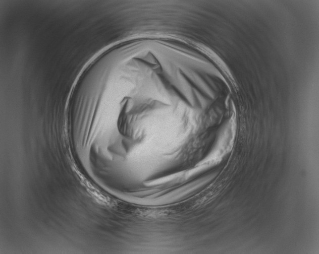 X0000082951004200702222308