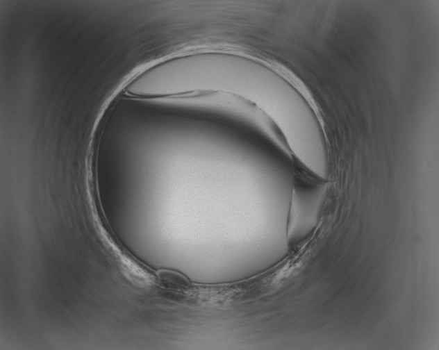 X0000082951005200702222308