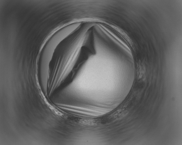 X0000082951006200702222308