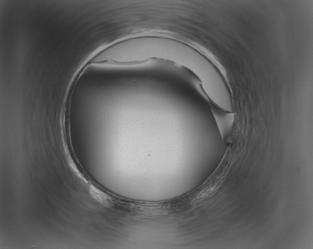 X0000082951007200702222308