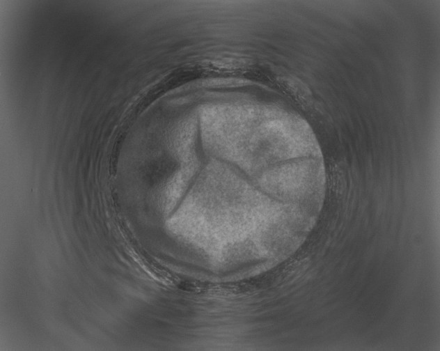 X0000082951009200702222307