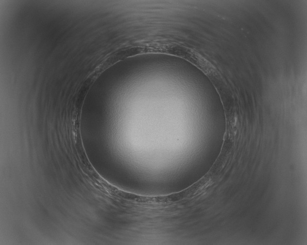 X0000082951010200702222307