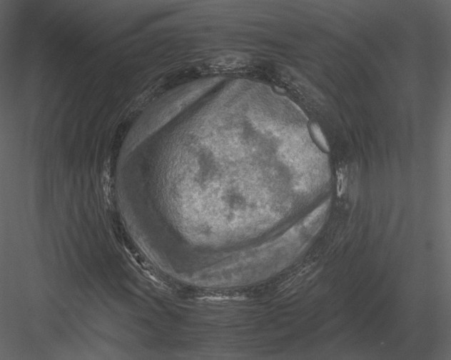 X0000082951011200702222307