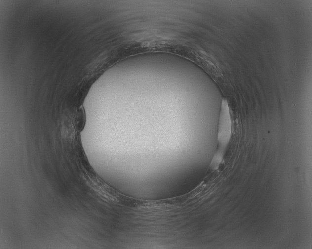 X0000082951012200702222307