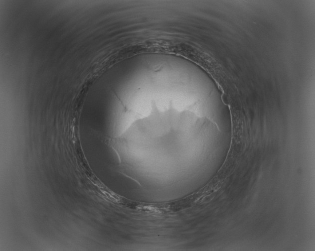 X0000082951013200702222307