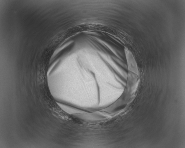 X0000082951014200702222307