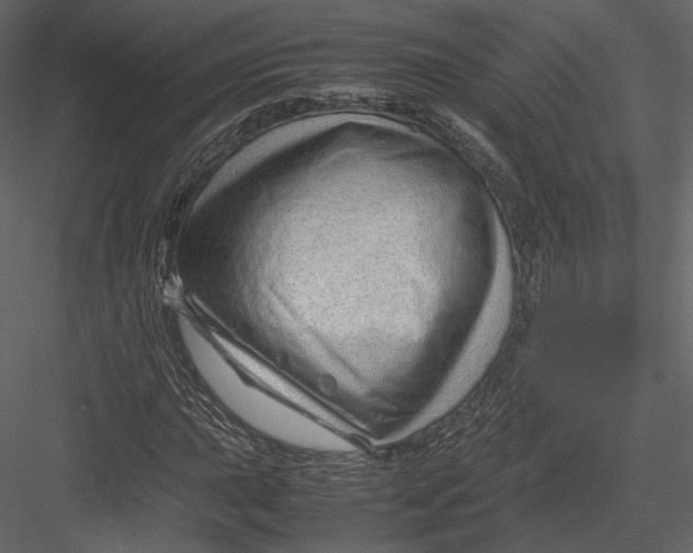 X0000082951015200702222307