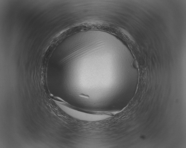 X0000082951016200702222307