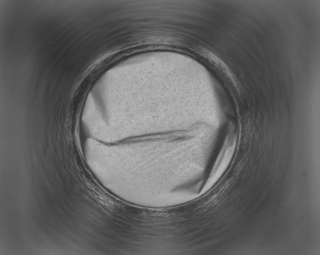 X0000082951019200702222307