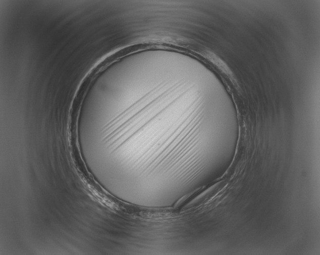 X0000082951020200702222307